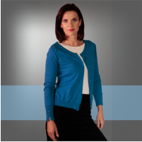 Vendula Hemzalová, profesní profil